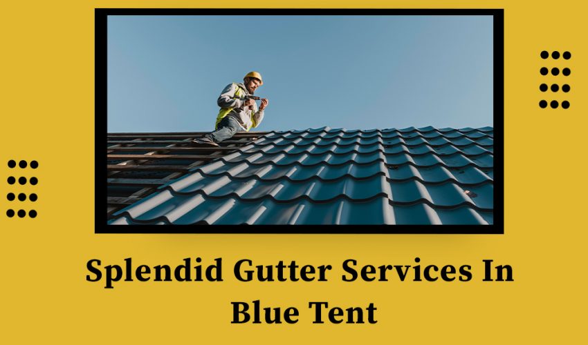 Splendid Gutter Services In Blue Tent